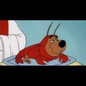 Meet your Posher, William